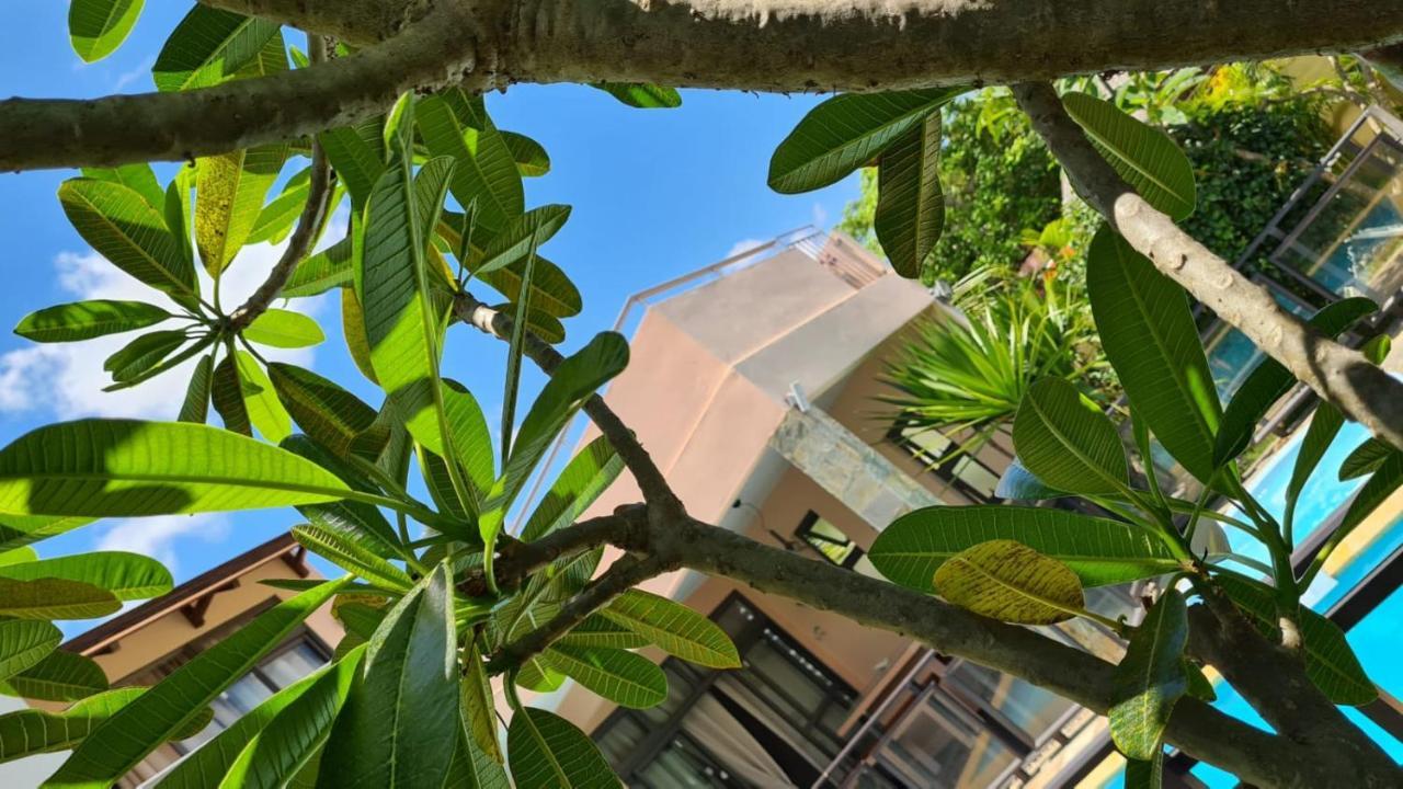 Villa Centre Grand Bay Ngoại thất bức ảnh